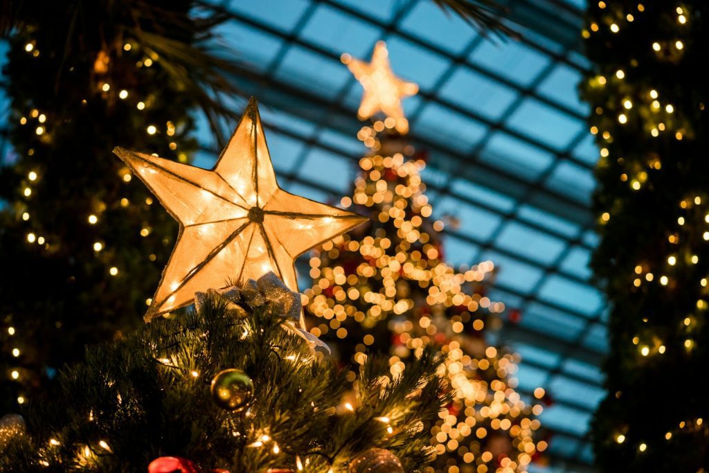 Explorons les Mythes et Légendes Autour du Traditionnel Sapin de Noël !